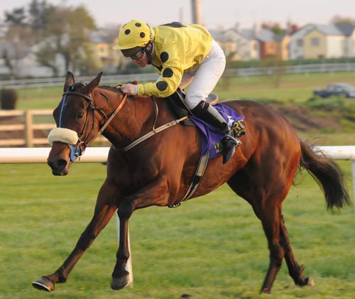 False Messenger & Laura Hourigan prevail at Wexford