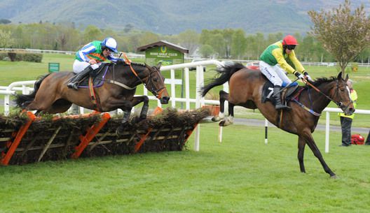 Wheres The Dosh (left) stalks Quieros Blue over the last before winning for trainer Liam Burke