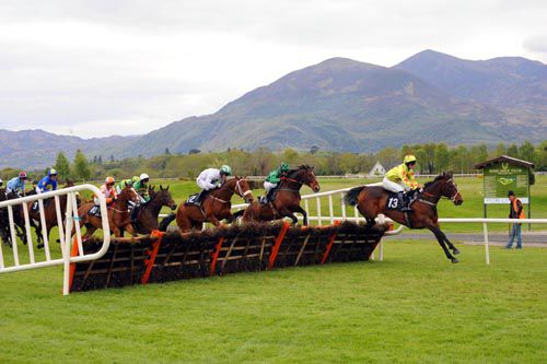  Racing Action from The Laurels Bar Maiden Hurdle won by Taking Stock