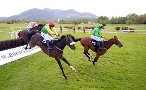 Kotkidy and Andrew Lynch left winning from Flag Of Honour   for trainer Henry de Bromhead 