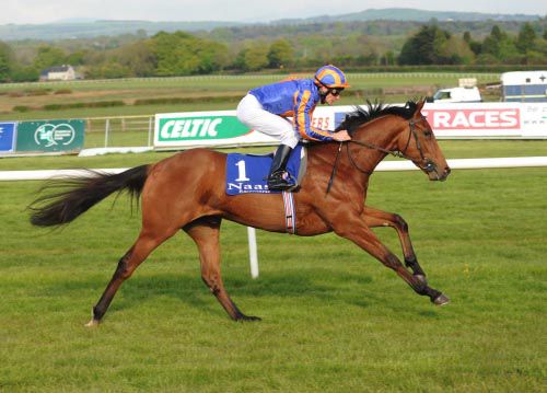 Zoffany pictured winning at Naas last year