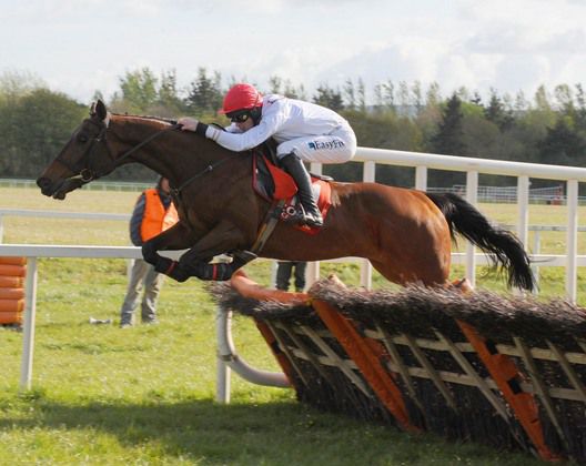 Peacock's Pride jumping the last to score at Cork