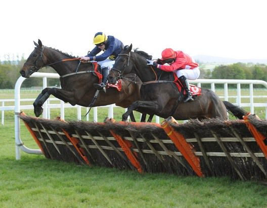 D's Trix (leader) jumps the last well and goes on to outpoint Mats Teacher