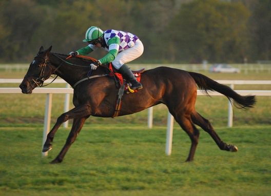 Tornado Bob impressed at Cork