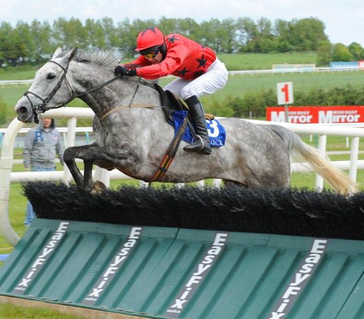 Thepartysover and Mick Darcy pop the last to win at Limerick