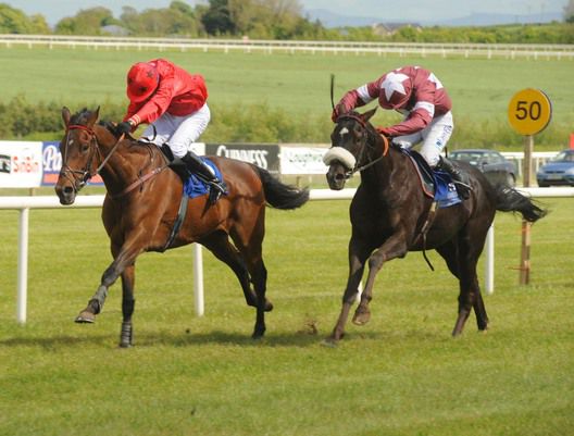 Vino Vino Cavo (red colours) beats off Cabernet Sauvignon at Limerick