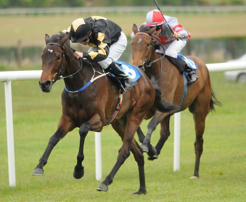 Leo Gali and Wayne Lordan winning at Roscommon