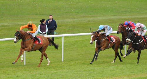 Fisher Bridge and Tim Carroll run out a convincing winner at Roscommon
