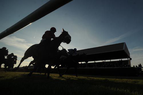 Bombalong (near side) blocks out the sun in the closing stages of her Wexford win