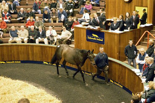 Tattersalls Ireland Sales at Fairyhouse