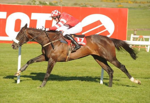 Otterstown Lady and Shane Hassett score   for trainer Cathy O'Leary