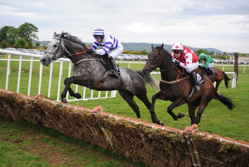 Hasartan and Andrew Thornton left wins from Breeze With Ease for trainer Andrew Heffernan 