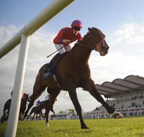 Full Title and Billy Lee