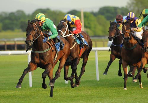 Eddie Linehan confident on Laughing Boy