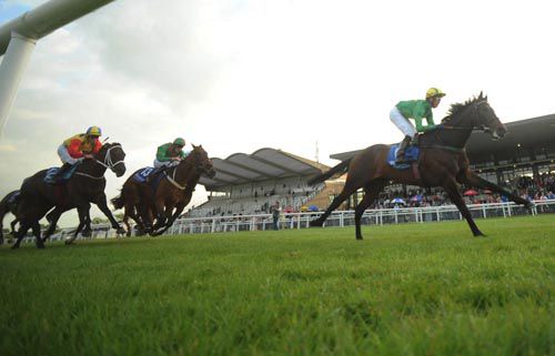 Fairyhouse not fit for racing