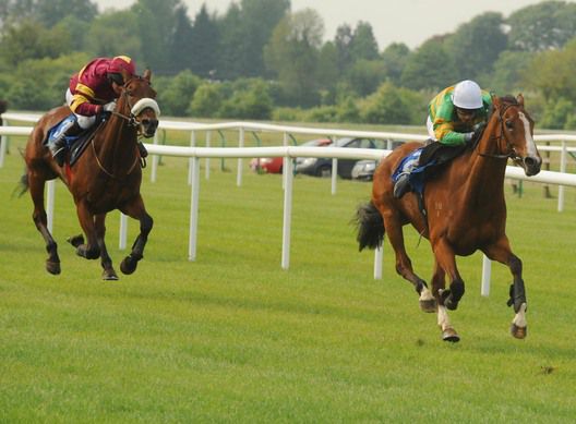 Stakers asserts on the run-in