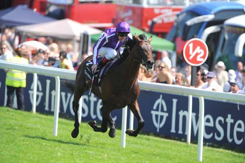 Fame And Glory win the 2010 Coronation Cup under Johnny Murtagh