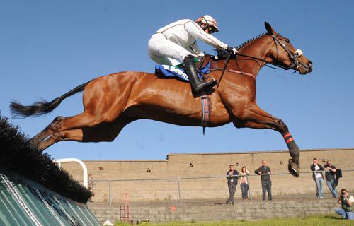 Annees D'or and Tommy Treacy jumping the   last to score for trainer Seamus Fahey