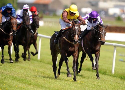 Luddenmore and Sean Leavy win at Listowel