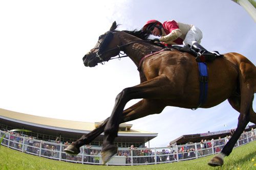Jeangorges and Danny Grant win at Listowel