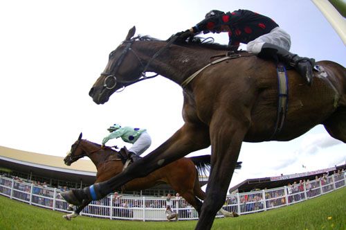 False Economy and Laura Hourigan (far side)shake off the challenge of Caesar's Song at Listowel