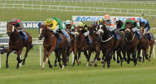 Cinnin Oir (yellow) comes with her run