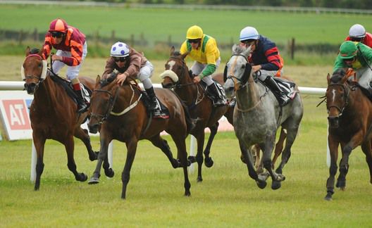 Tovaria 2nd (left) gives James McDonald a quick double beating Holyrood (left) and Zarinava 2nd (grey)