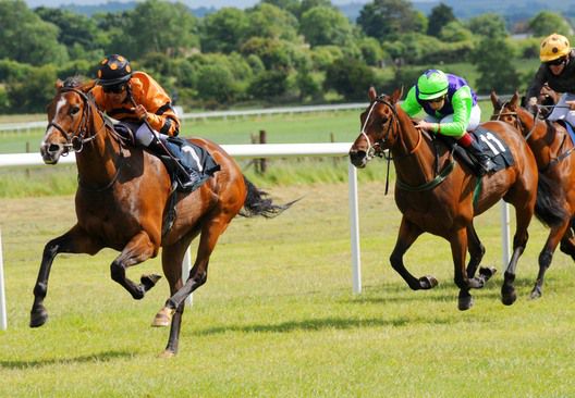 Cannot Give and Sean Levey beat Playdate for trainer Pat Tallis 