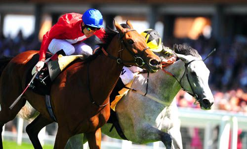 Strawberrydaiquiri winning at Royal Ascot