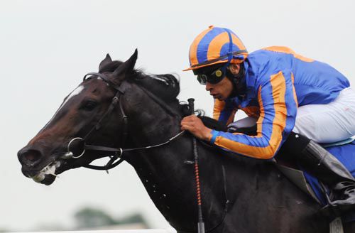 Emperor Claudius and Sean Levey winning at Fairyhouse