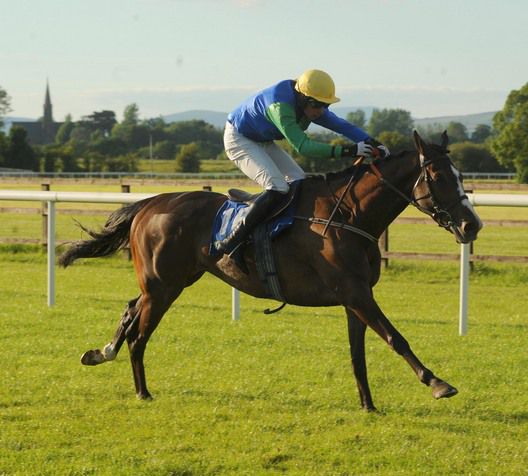 Mister Bishop wins at Tipperary under Robbie McCarth