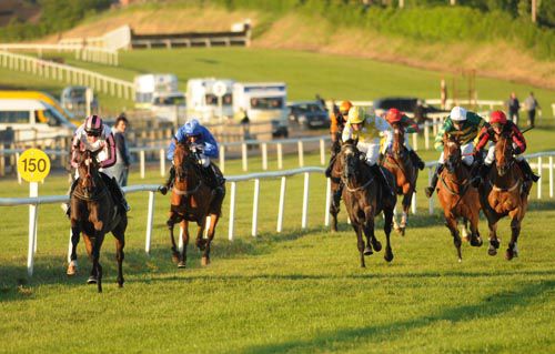 Tus Nua leads her rivals a merry dance at Down Royal