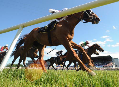 Option Be (nearest) holds on from Prince Of Fashion (green & pink) buts loses it in Stewards Room