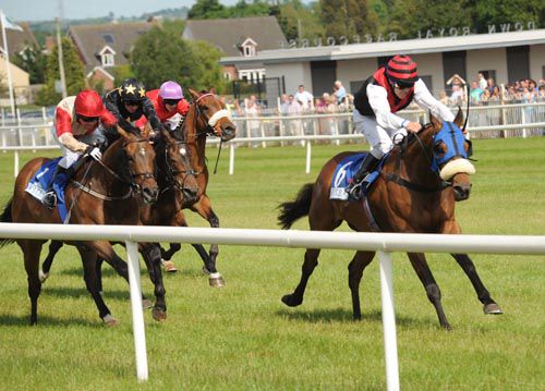 Academic Accolade prevails at Down Royal