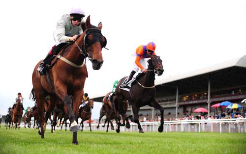 Luttrell Lady scores in the bllinkers