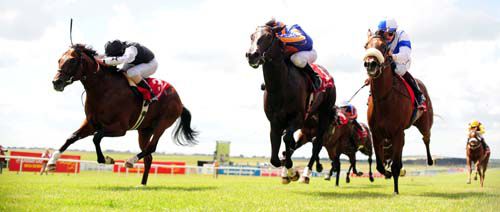 Formosina and Ryan Moore (left) collars Samuel Morse (centre) and Clondinnery (right)