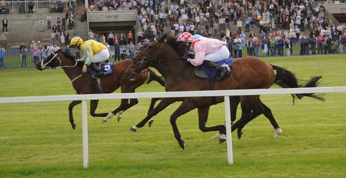 Inwood and Gary Carroll win for trainer Paul Magnier