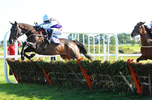 Persian Gayle seen winning at Wexford