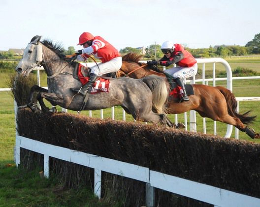 Alfa Beat and Brian Byrnes pop the last to hold off Bernabeu at Wexford