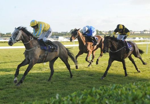 Carutomark and Philip Enright win at Wexford