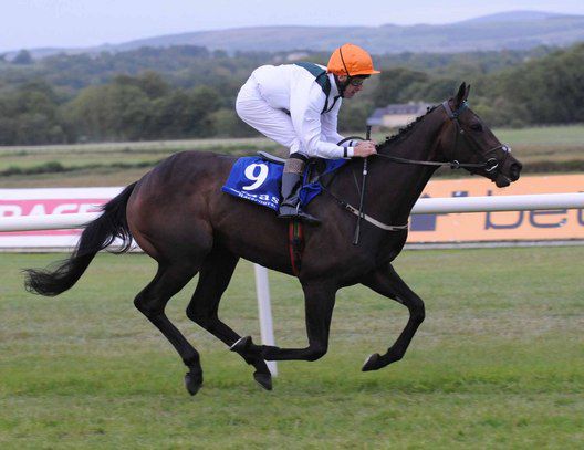 Rare Symphony and Willie Supple winning   for trainer Paul Deegan
