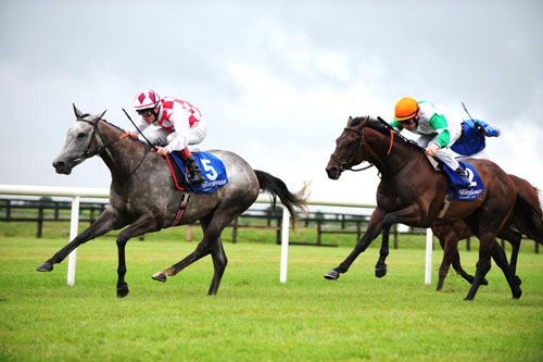 Dotada and Pat Smullen defeat Bay Knight at Fairyhouse
