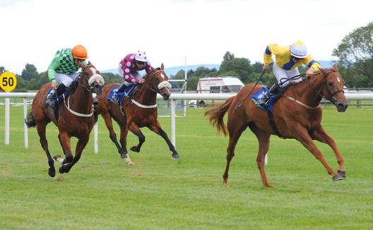 Celerina takes the Ballykisteen Maiden 