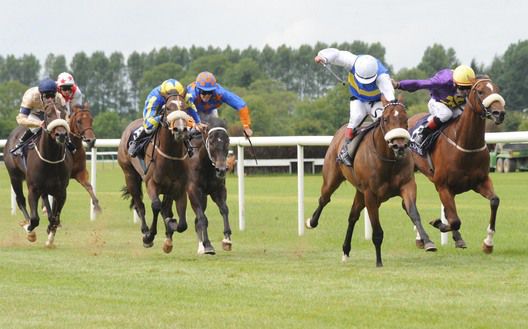 Anadolu (blue and white) gets the better of Moonlit Garden (purple) 
