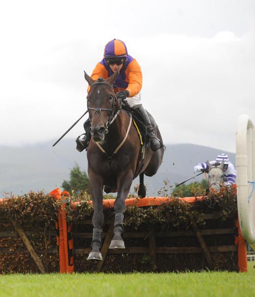 Ballyadam Brook has the grey Hasaratan beaten