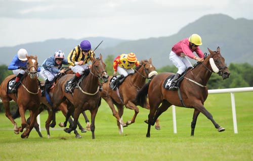 Lus Na Hoiche holds off all challengers