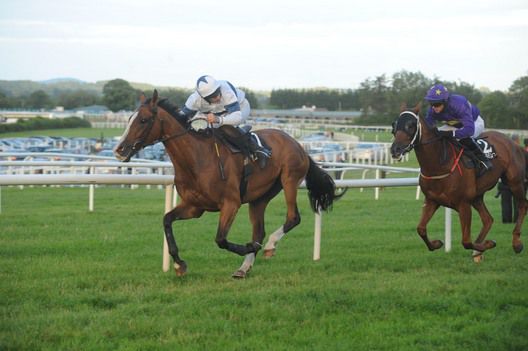 Ah Ya Boy Ya a cosy winner under Alan Crowe