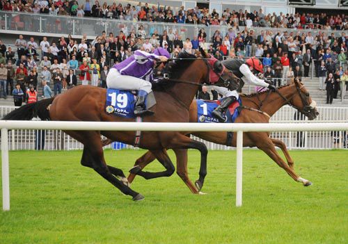 Easy Mate, far side under Leigh Roche, defeats Don Leone (19)