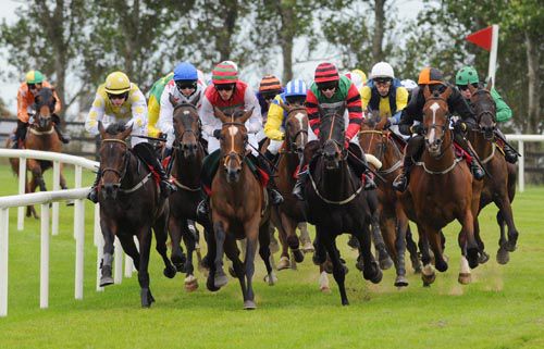 Tom Doyle (third right, white cap) looks for racing room on Novel Investement 