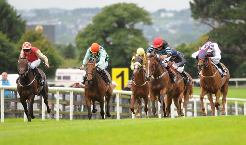 Hope Of An Angel (red cap) digs deep for Martin Harley to land the Nursery